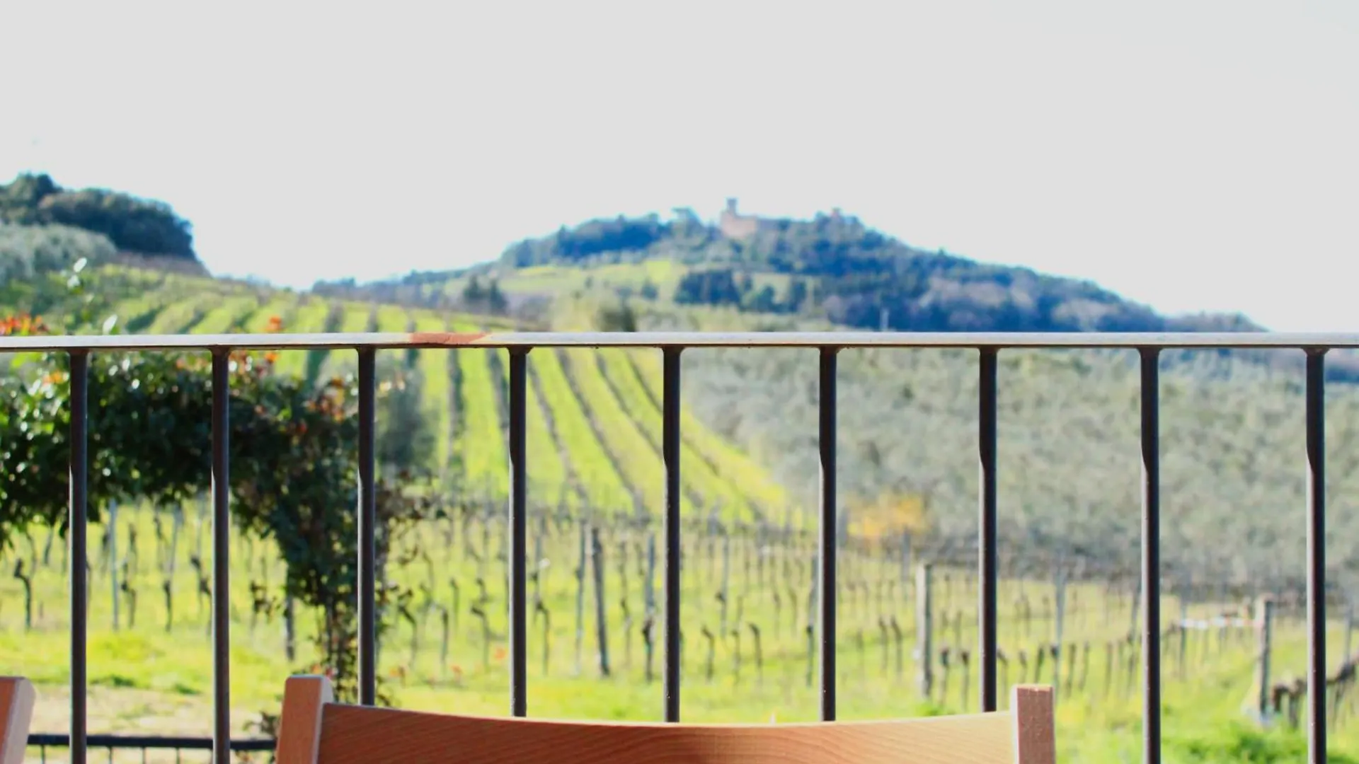 Ecological House Chianti Apartment Marcialla